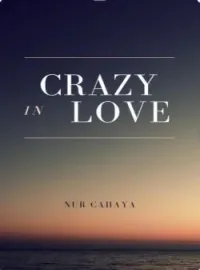 Sampul Novel Crazy In Love