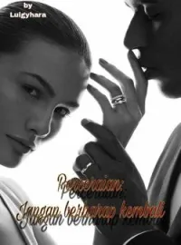 Sampul Novel Perceraian: Jangan Berharap Kembali