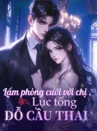 Bìa tiểu thuyết Lầm phòng cưới với chị, Lục tổng dỗ cầu thai