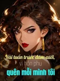 Bìa tiểu thuyết Vài tuần trước đám cưới, vị hôn phu quên mỗi mình tôi
