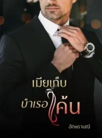 หน้าปกนวนิยาย เมียเก็บบำเรอแค้น