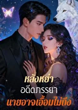 หน้าปกนวนิยาย หลังหย่า อดีตภรรยา นายอาจเอื้อมไม่ถึง