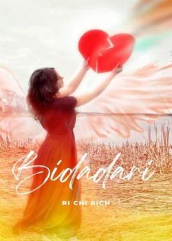 Sampul Novel BIDADARI