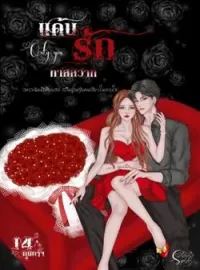 หน้าปกนวนิยาย แค้นรักทาสสวาท