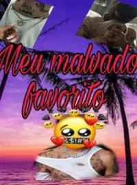 Capa do romance Meu malvado favorito