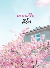 หน้าปกนวนิยาย พรหมลิขิตสีดำ