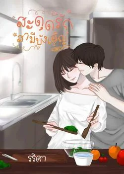 สะดุดรัก...สามีบังเอิญ