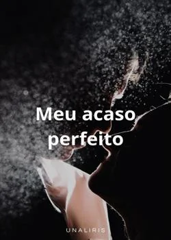 Capa do romance meu acaso perfeito