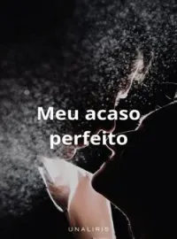 Capa do romance meu acaso perfeito