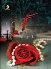 หน้าปกนวนิยาย ชู้