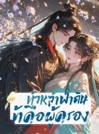 หน้าปกนวนิยาย ทั่วหล้าฟ้าดิน ข้าคือผู้ครอง